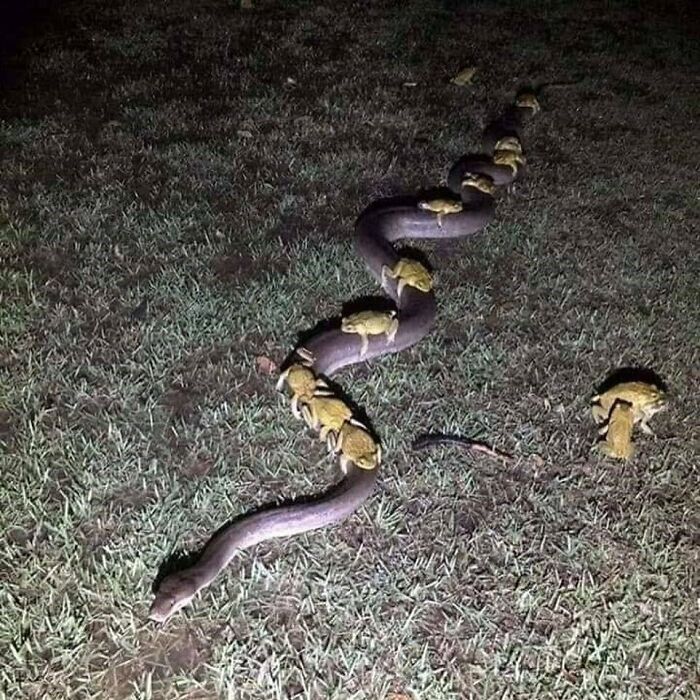 77 Cursed Images So Unhinged, You Might Wonder What Corner Of The Internet They Crawled Out From