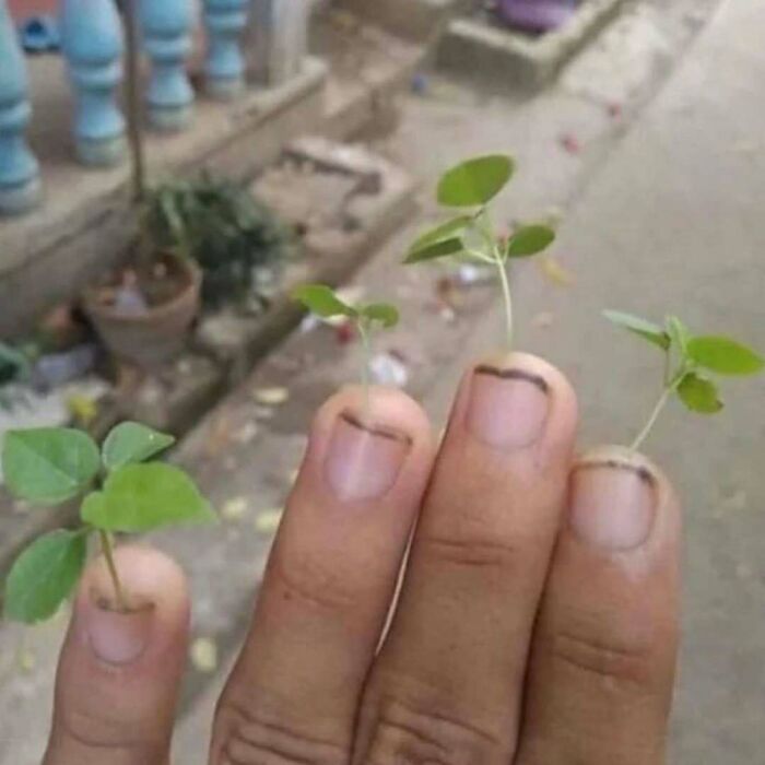 77 Cursed Images So Unhinged, You Might Wonder What Corner Of The Internet They Crawled Out From