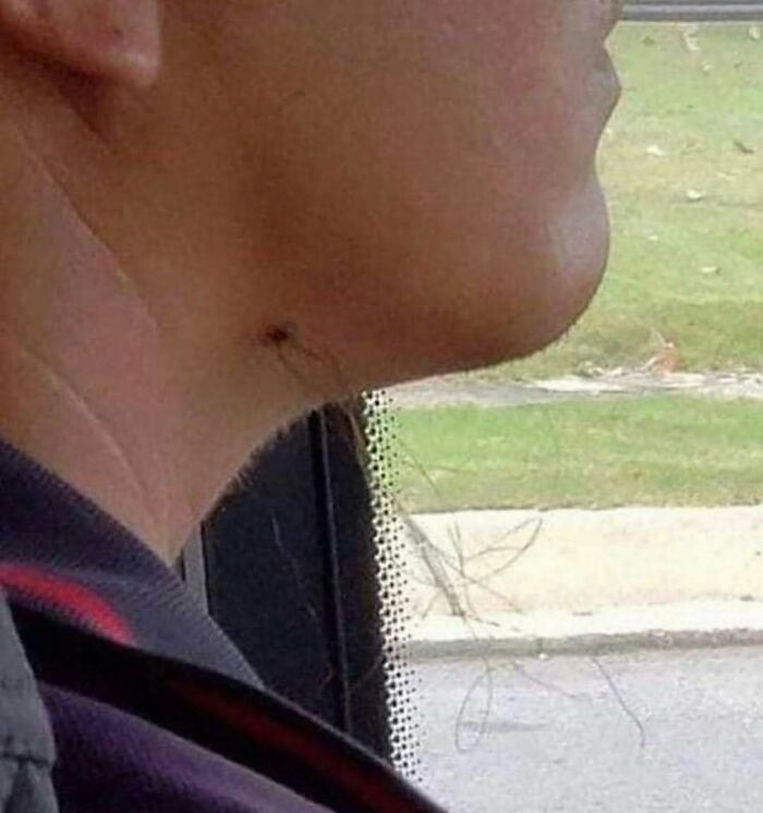 77 Cursed Images So Unhinged, You Might Wonder What Corner Of The Internet They Crawled Out From