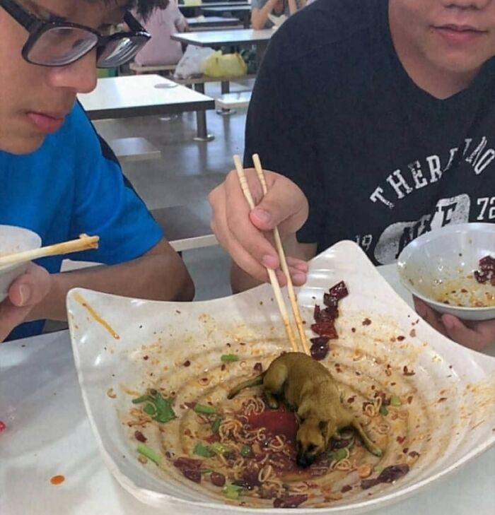 77 Cursed Images So Unhinged, You Might Wonder What Corner Of The Internet They Crawled Out From