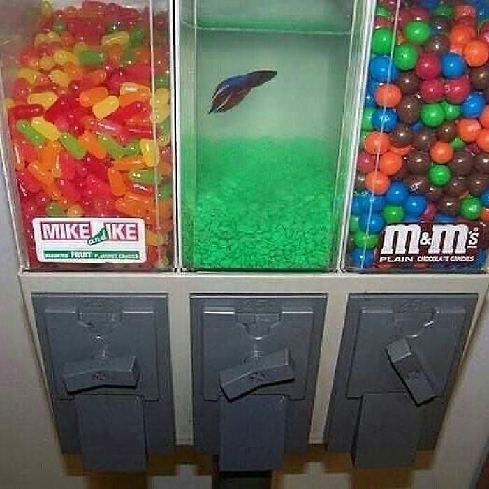 77 Cursed Images So Unhinged, You Might Wonder What Corner Of The Internet They Crawled Out From