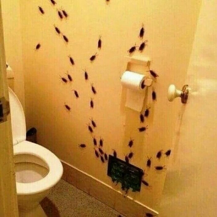 77 Cursed Images So Unhinged, You Might Wonder What Corner Of The Internet They Crawled Out From