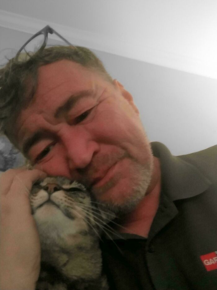 139 Pics Of Cute, Smol, Majestic And Charming Cats To Heal Your Soul