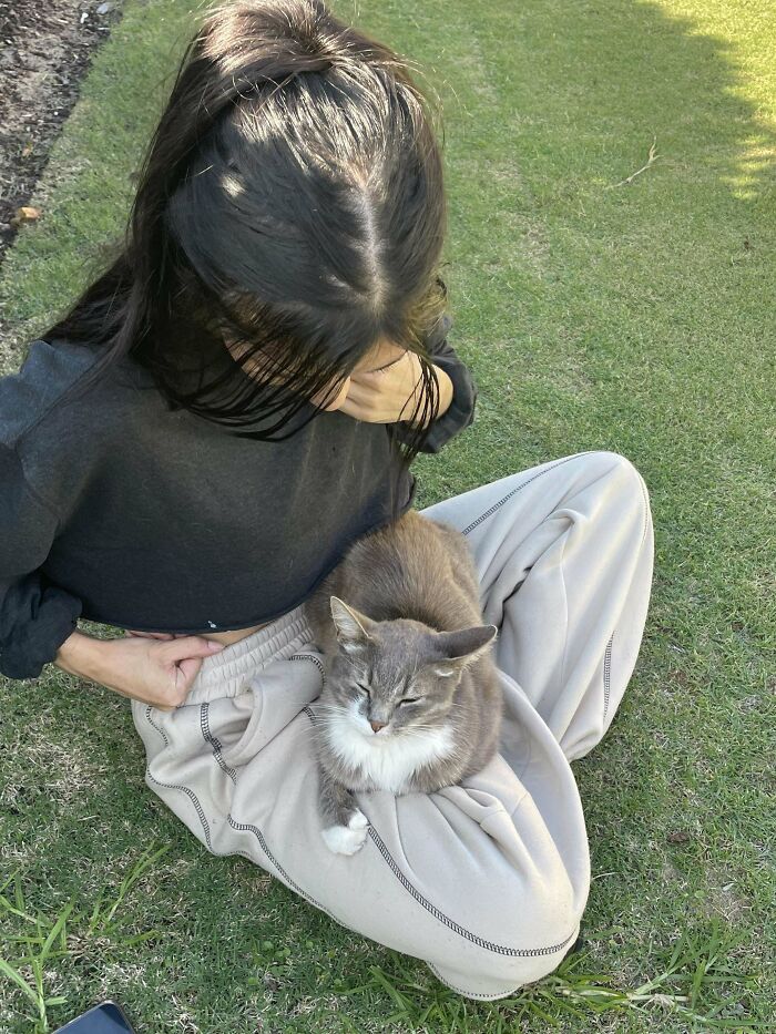 139 Pics Of Cute, Smol, Majestic And Charming Cats To Heal Your Soul
