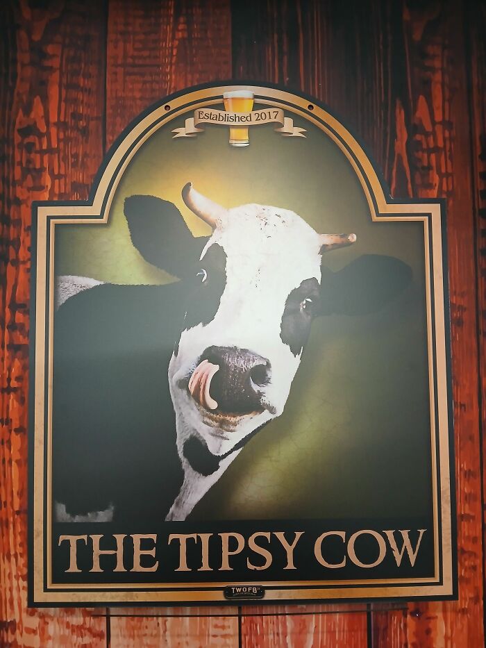 We Make Funny Pub Signs Featuring Random Animals (28 Pics) We Make Funny Pub Signs Featuring Random Animals (28 Pics)