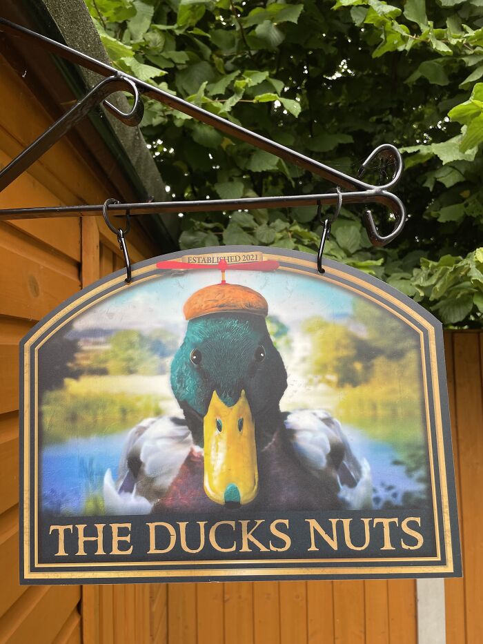 We Make Funny Pub Signs Featuring Random Animals (28 Pics) We Make Funny Pub Signs Featuring Random Animals (28 Pics)