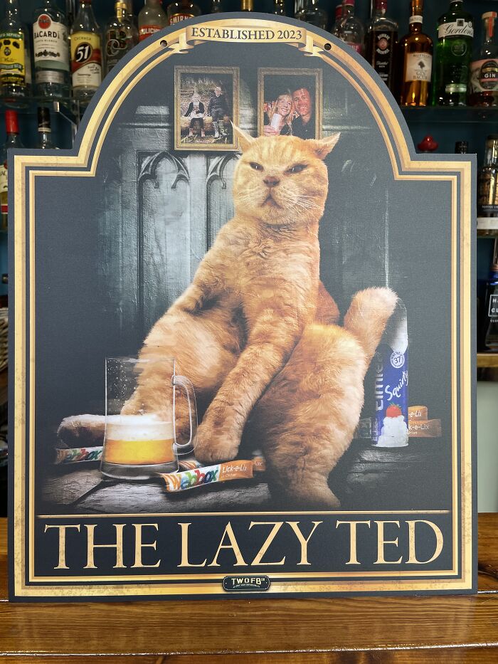 We Make Funny Pub Signs Featuring Random Animals (28 Pics) We Make Funny Pub Signs Featuring Random Animals (28 Pics)