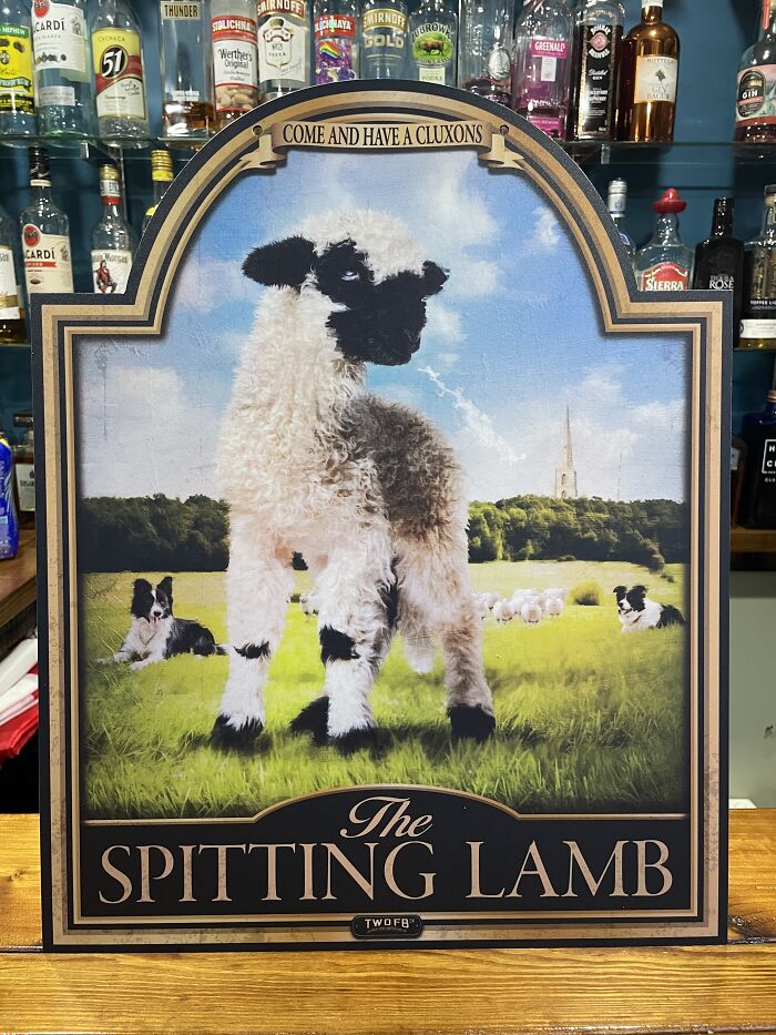 We Make Funny Pub Signs Featuring Random Animals (28 Pics) We Make Funny Pub Signs Featuring Random Animals (28 Pics)