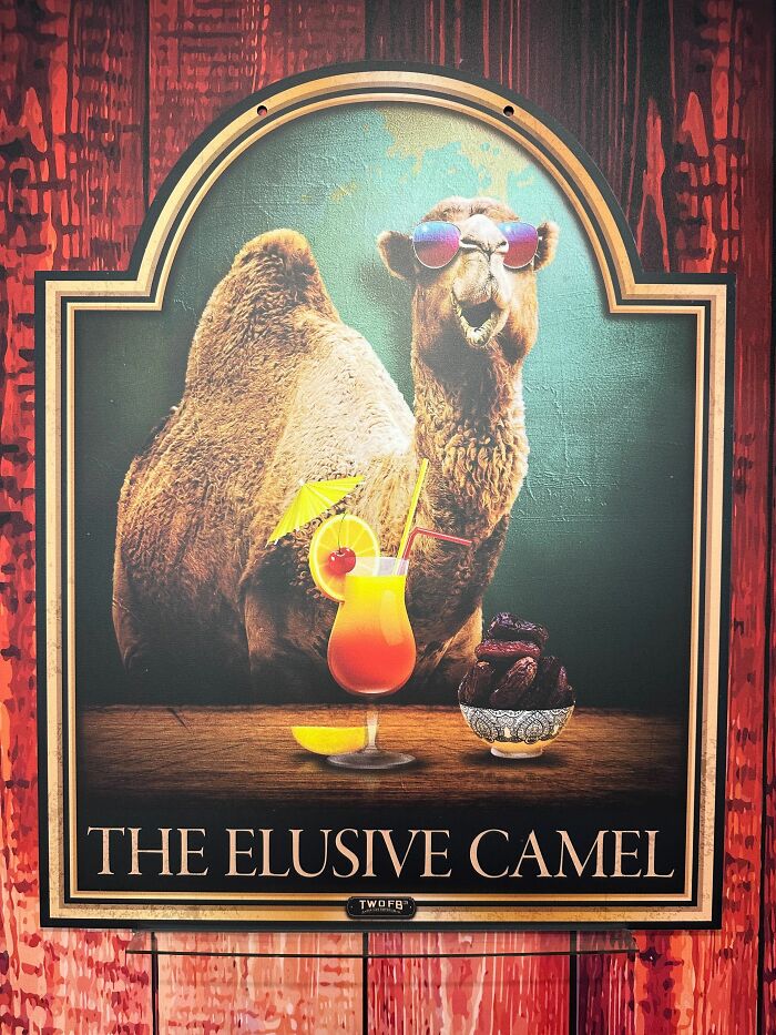 We Make Funny Pub Signs Featuring Random Animals (28 Pics) We Make Funny Pub Signs Featuring Random Animals (28 Pics)