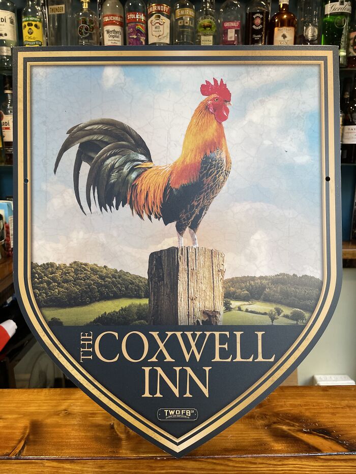 We Make Funny Pub Signs Featuring Random Animals (28 Pics) We Make Funny Pub Signs Featuring Random Animals (28 Pics)