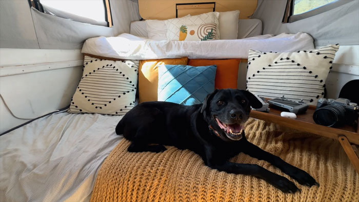 36YO Embraces Tiny Life, Living Comfortably In A Truck Full-Time On A Budget Of Just $1,305/Month