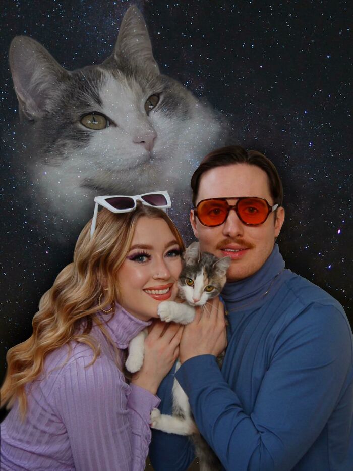 80 Aww-Inducing Pics Of Cats That Are Impossible Not To Enjoy