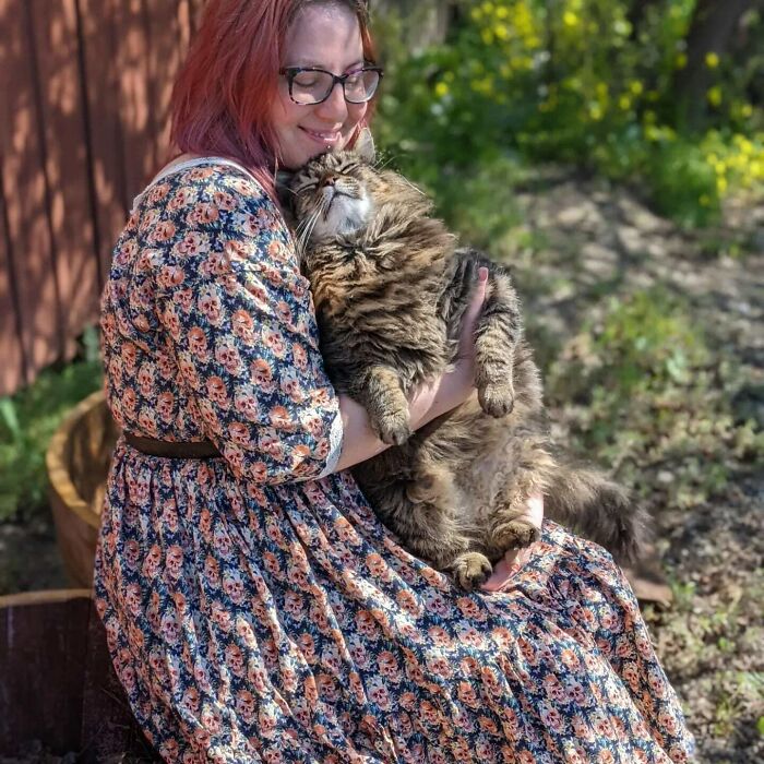 80 Aww-Inducing Pics Of Cats That Are Impossible Not To Enjoy