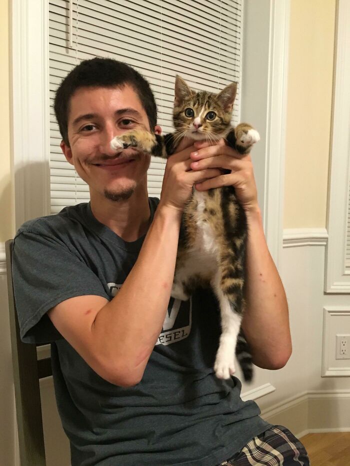80 Aww-Inducing Pics Of Cats That Are Impossible Not To Enjoy