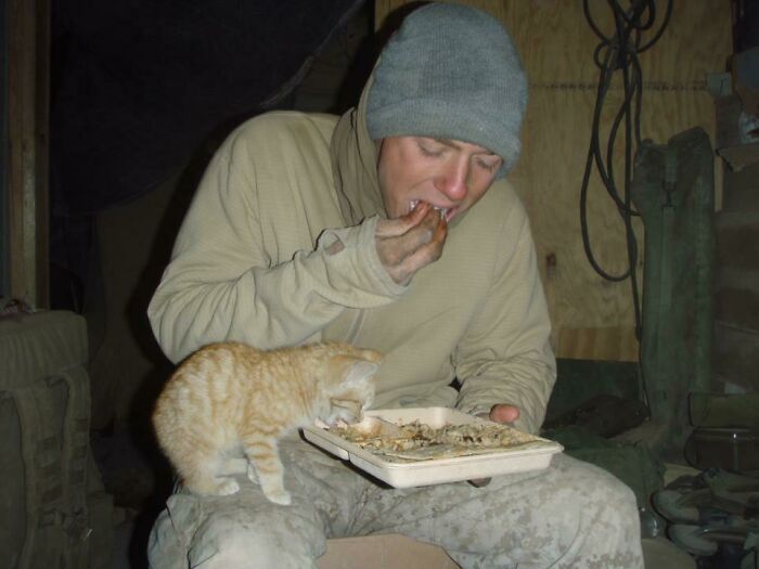 80 Aww-Inducing Pics Of Cats That Are Impossible Not To Enjoy