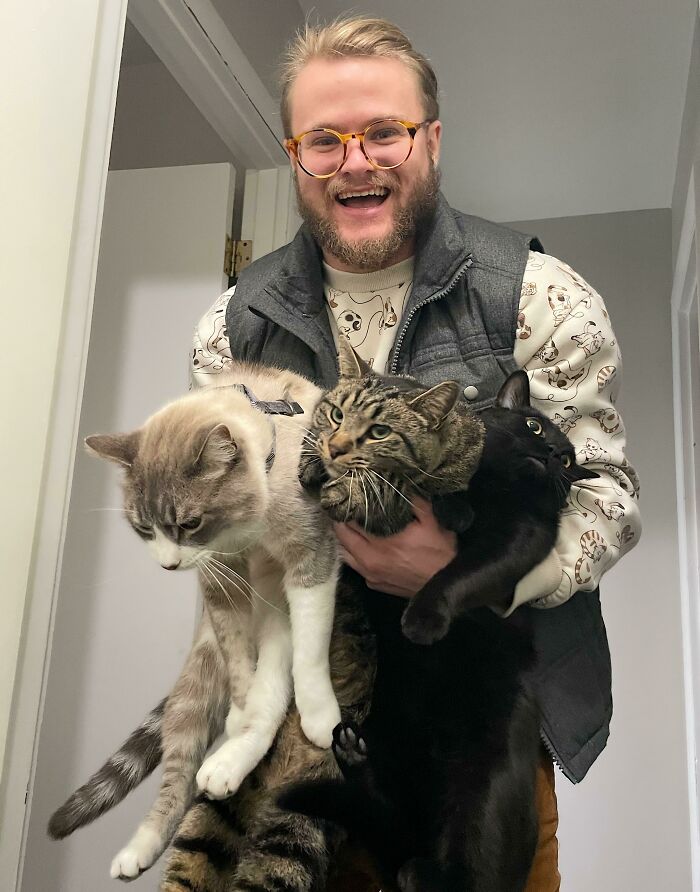 80 Aww-Inducing Pics Of Cats That Are Impossible Not To Enjoy