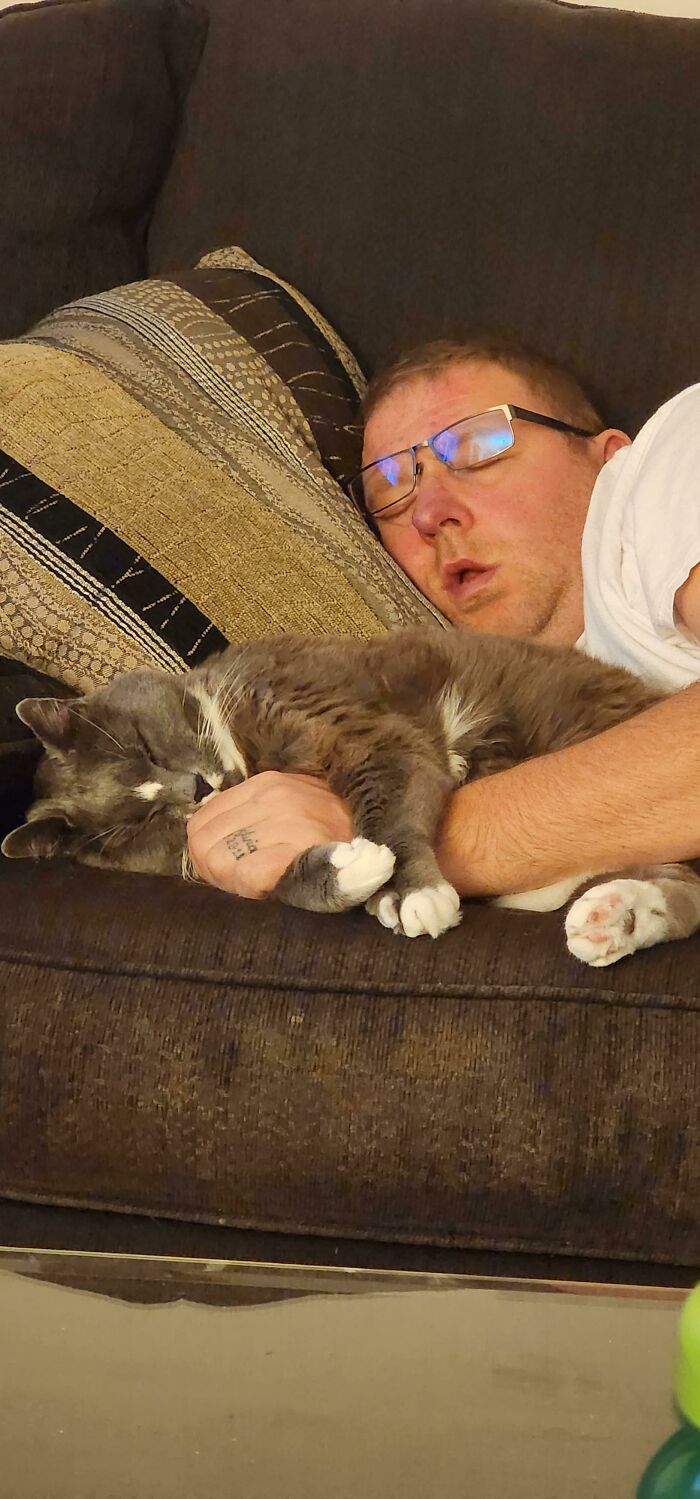 80 Aww-Inducing Pics Of Cats That Are Impossible Not To Enjoy