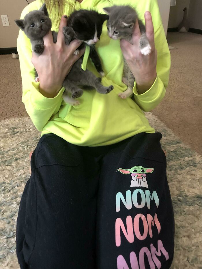 80 Aww-Inducing Pics Of Cats That Are Impossible Not To Enjoy