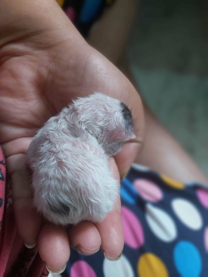 80 Aww-Inducing Pics Of Cats That Are Impossible Not To Enjoy