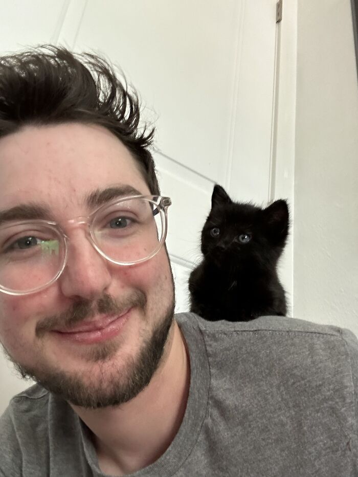 80 Aww-Inducing Pics Of Cats That Are Impossible Not To Enjoy