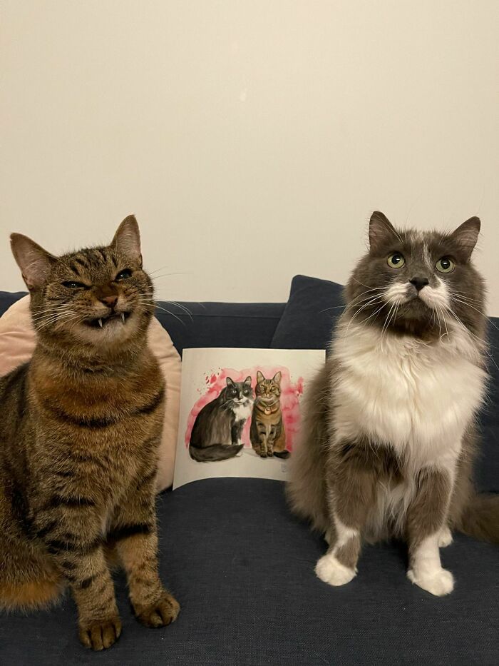 80 Aww-Inducing Pics Of Cats That Are Impossible Not To Enjoy