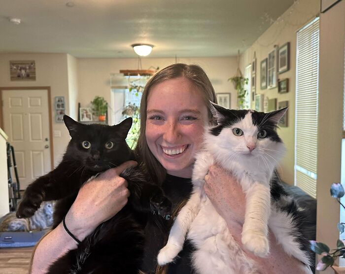 80 Aww-Inducing Pics Of Cats That Are Impossible Not To Enjoy