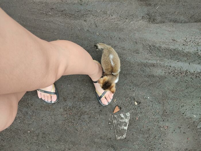80 Aww-Inducing Pics Of Cats That Are Impossible Not To Enjoy