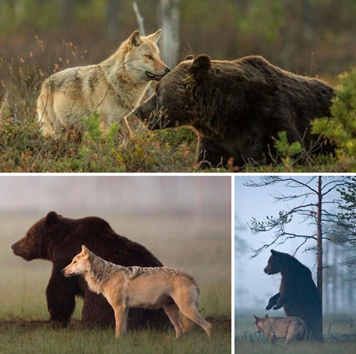 106 Extraordinary And Fascinating Things People Saw And Wanted To Show Others (New Pics)