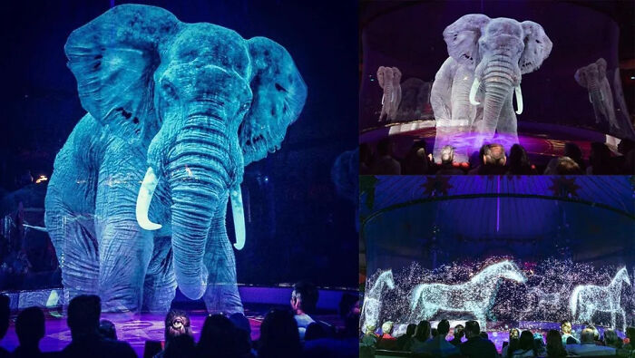 106 Extraordinary And Fascinating Things People Saw And Wanted To Show Others (New Pics)