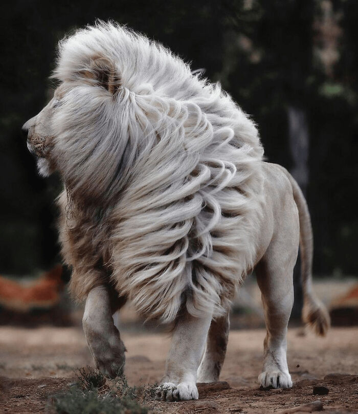106 Extraordinary And Fascinating Things People Saw And Wanted To Show Others (New Pics)