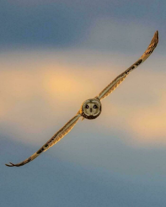 106 Extraordinary And Fascinating Things People Saw And Wanted To Show Others (New Pics)
