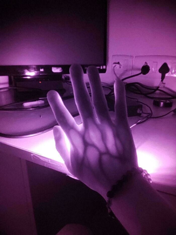 106 Extraordinary And Fascinating Things People Saw And Wanted To Show Others (New Pics)
