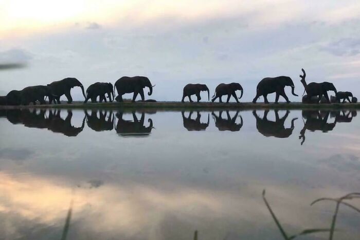 106 Extraordinary And Fascinating Things People Saw And Wanted To Show Others (New Pics)