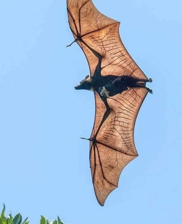 106 Extraordinary And Fascinating Things People Saw And Wanted To Show Others (New Pics)