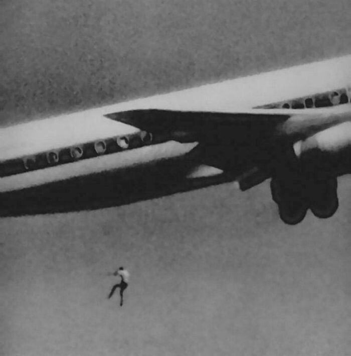 106 Extraordinary And Fascinating Things People Saw And Wanted To Show Others (New Pics)