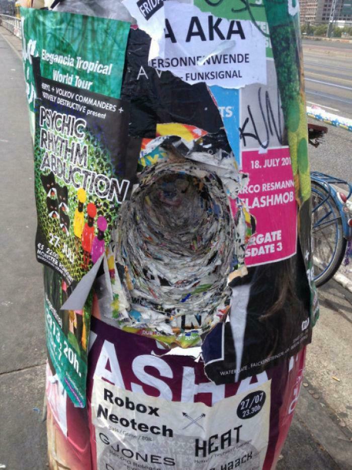 106 Extraordinary And Fascinating Things People Saw And Wanted To Show Others (New Pics)