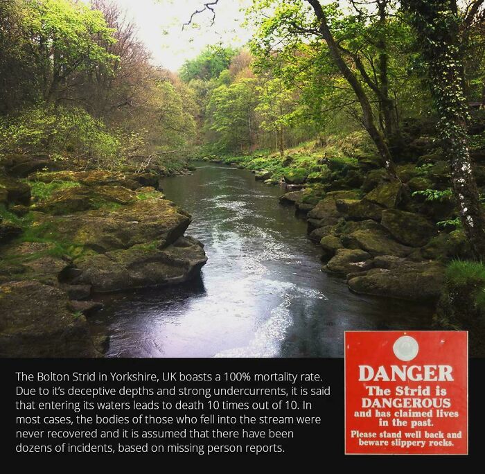106 Extraordinary And Fascinating Things People Saw And Wanted To Show Others (New Pics)