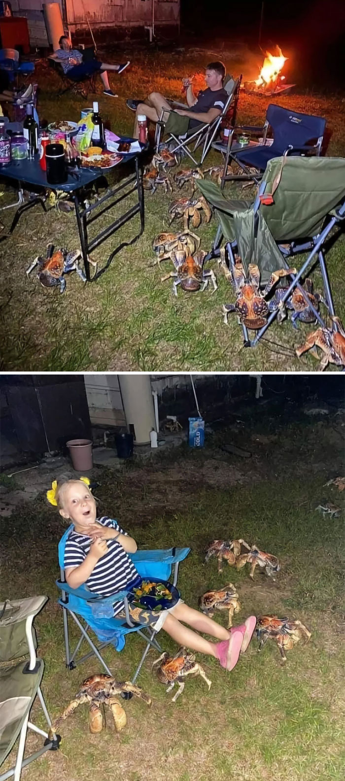 106 Extraordinary And Fascinating Things People Saw And Wanted To Show Others (New Pics)