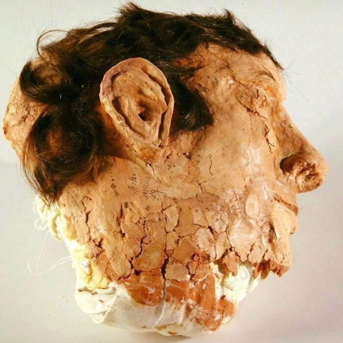 106 Extraordinary And Fascinating Things People Saw And Wanted To Show Others (New Pics)