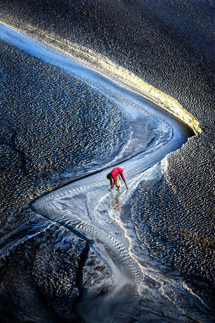 Spectacular Images Of The 2025 Mangrove Photography Awards (45 Pics)