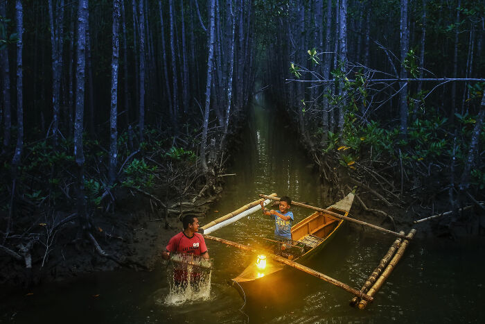 Spectacular Images Of The 2025 Mangrove Photography Awards (45 Pics)