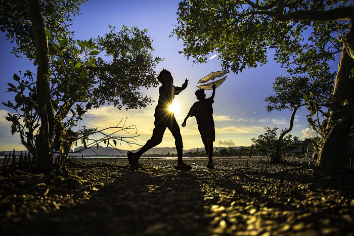 Spectacular Images Of The 2025 Mangrove Photography Awards (45 Pics)