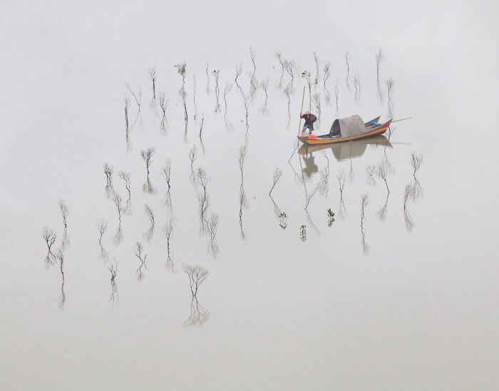 Spectacular Images Of The 2025 Mangrove Photography Awards (45 Pics)