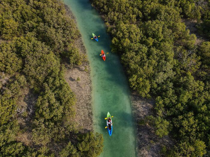 Spectacular Images Of The 2025 Mangrove Photography Awards (45 Pics)