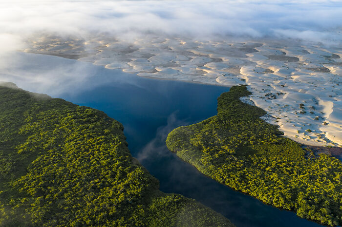 Spectacular Images Of The 2025 Mangrove Photography Awards (45 Pics)
