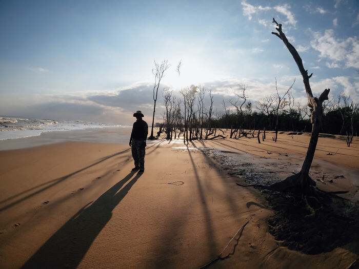 Spectacular Images Of The 2025 Mangrove Photography Awards (45 Pics)