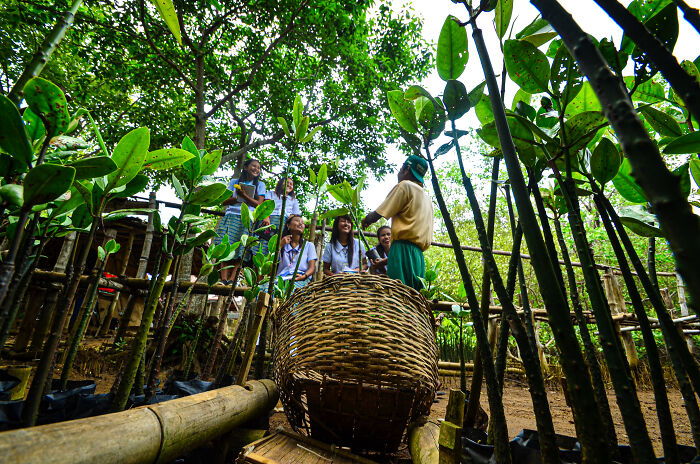 Spectacular Images Of The 2025 Mangrove Photography Awards (45 Pics)
