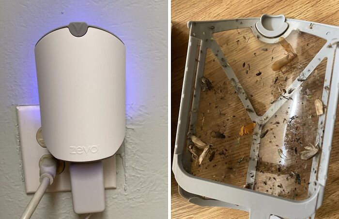 50 Reasons Your Amazon &#8220;Save For Later&#8221; List Is About To Explode