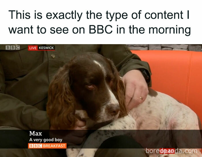 75 Funny Memes That Perfectly Sum Up Life In The UK
