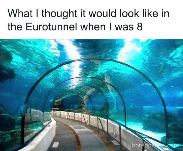 75 Funny Memes That Perfectly Sum Up Life In The UK